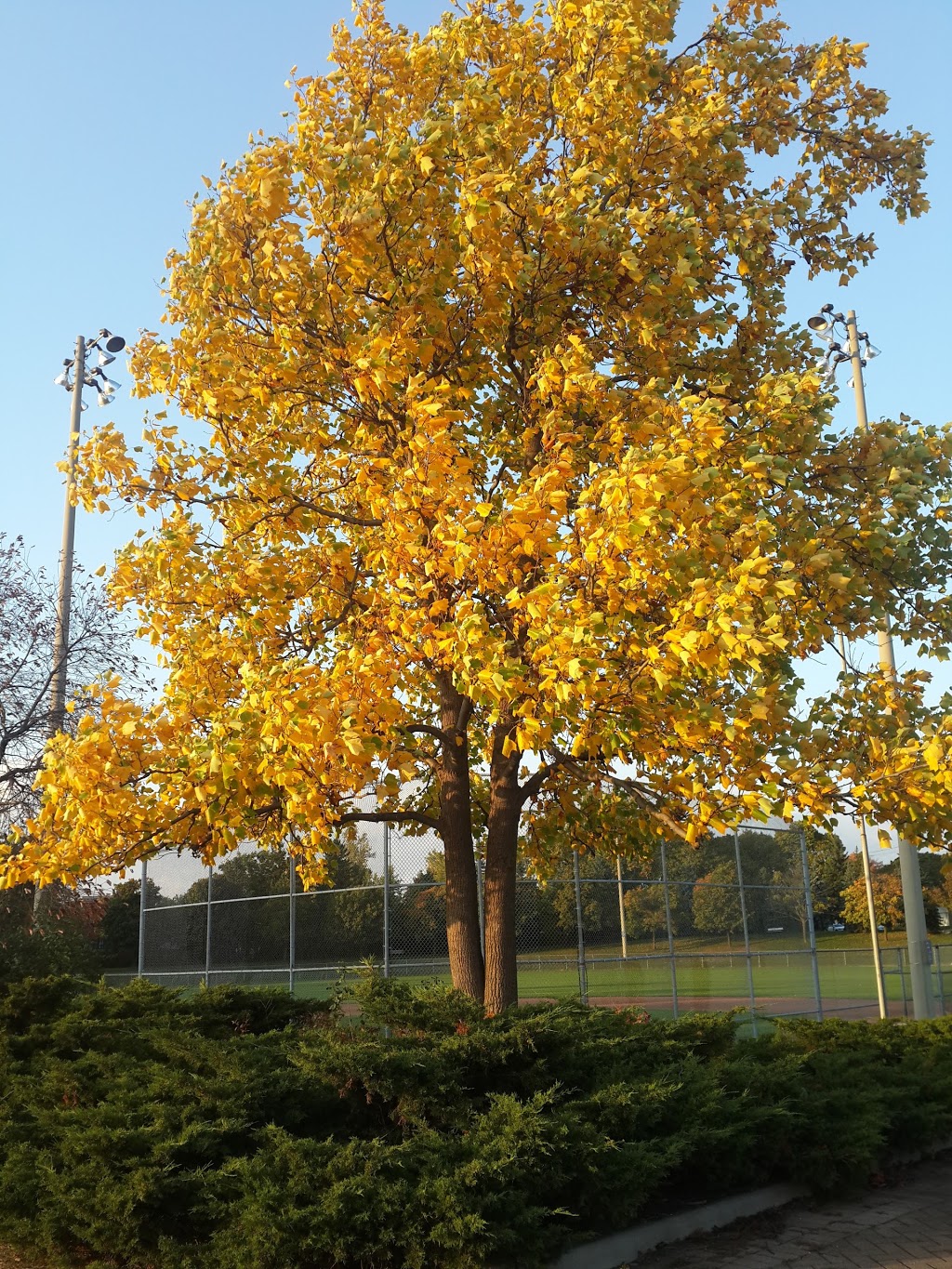 Wishing Well Park | 1700 Pharmacy Ave, Scarborough, ON M1T 1H1, Canada | Phone: (416) 338-4386