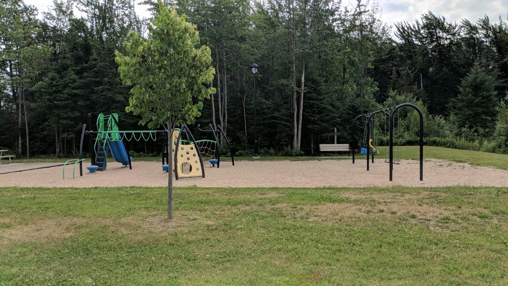 Parc des Géraniums | 45 Rue des Iris, Victoriaville, QC G6T 0M7, Canada | Phone: (819) 758-1571