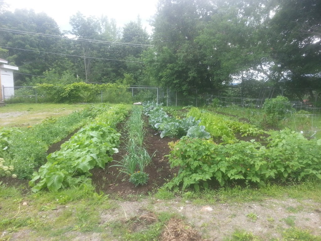 Collectif Grenier des collines Garden | 34 Chemin de lÉglise, Val-des-Monts, QC J8N 2A2, Canada | Phone: (819) 457-1010