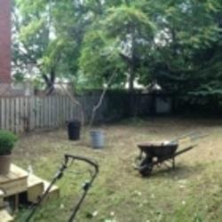 Cut Rite Lawns | Shakespeare Ave, St. Catharines, ON L2R 6B7, Canada | Phone: (905) 902-6071