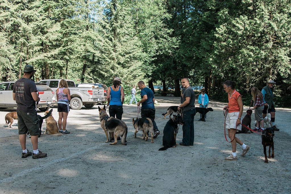 Obedience Unleashed Dog Training | 12658 Powell St, Mission, BC V4S 1C1, Canada | Phone: (844) 900-3647