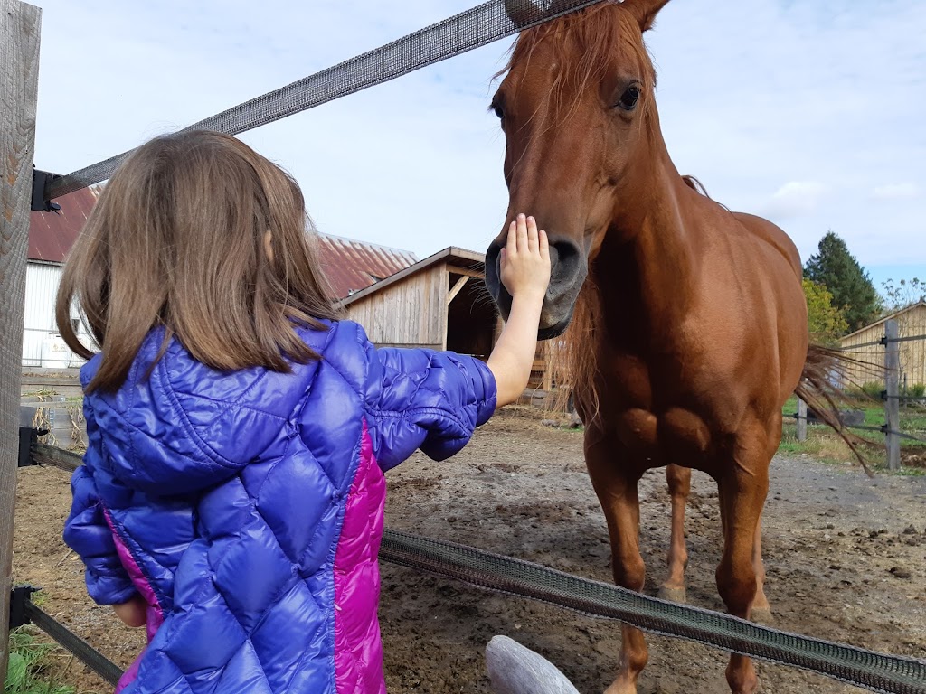 La ferme Pélipa | 1120 Rue Saint-Aimé, Saint-Lambert-de-Lauzon, QC G0S 2W0, Canada | Phone: (581) 888-1452