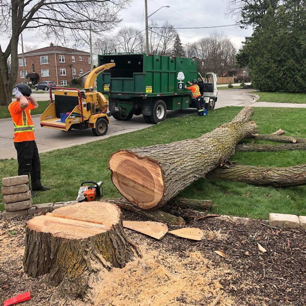 Jarmuth Tree Service | 31 Oriole Pkwy W, Elmira, ON N3B 1B6, Canada | Phone: (519) 500-4583