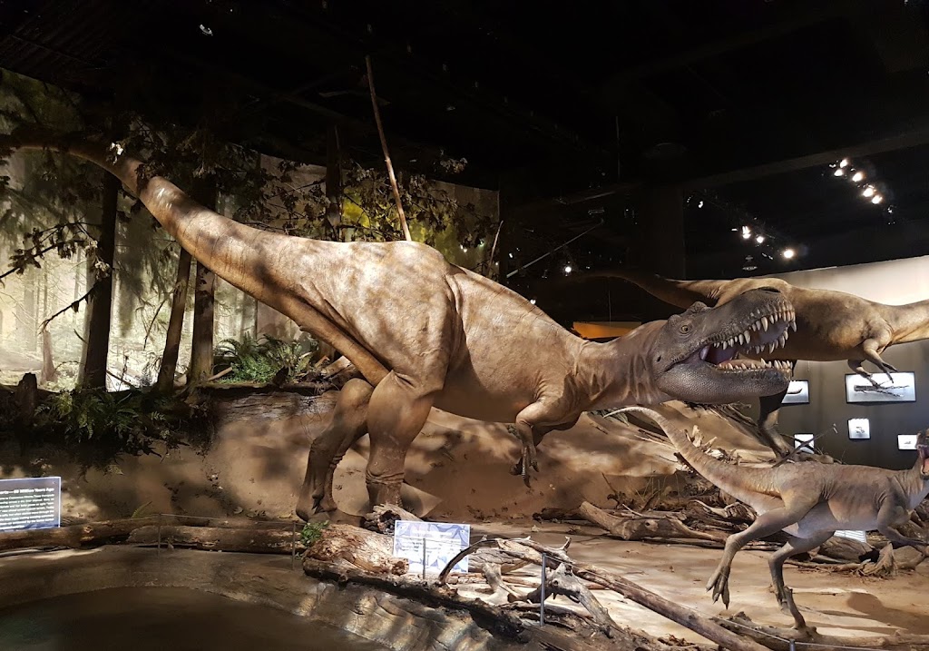 Royal Tyrrell Museum | 1500 N Dinosaur Trail, Drumheller, AB T0J 0Y0, Canada | Phone: (403) 823-7707
