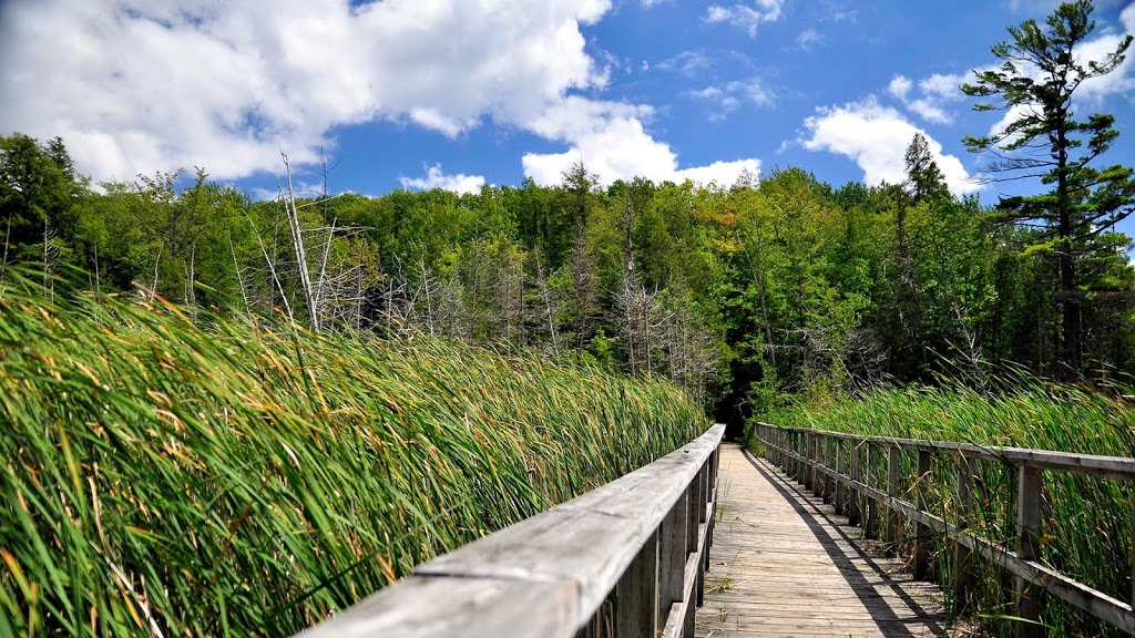 Wendat Hiking Trail | Unnamed Road, Tiny, ON L0K, Canada