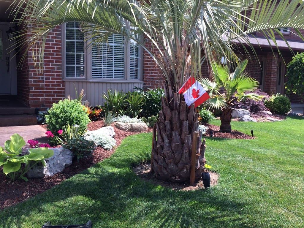 Niagara Tropics - Cold Hardy Palm Trees and Landscaping Nursery | 124 Loretta Dr, Virgil, ON L0S 1T0, Canada | Phone: (289) 362-2819