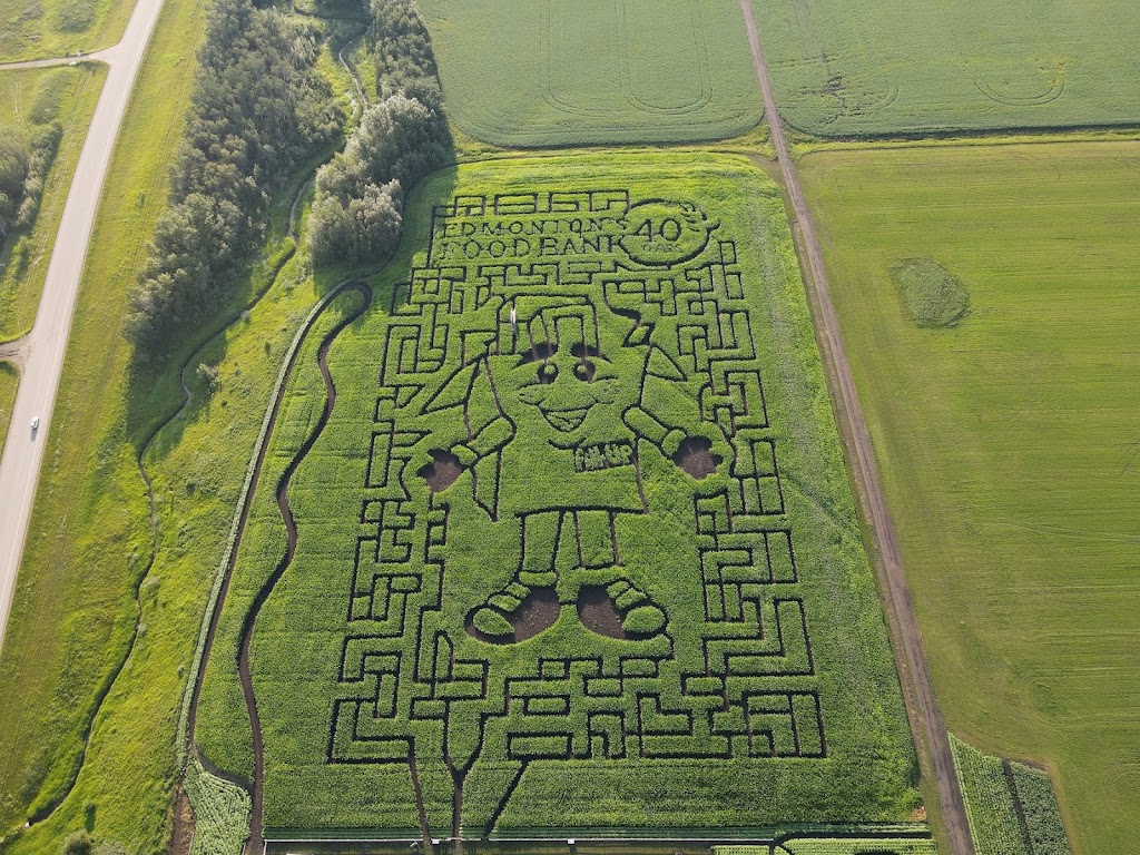 Edmonton Corn Maze | 26171 Secondary Hwy 627, Spruce Grove, AB T7Y 1B3, Canada | Phone: (825) 535-3600