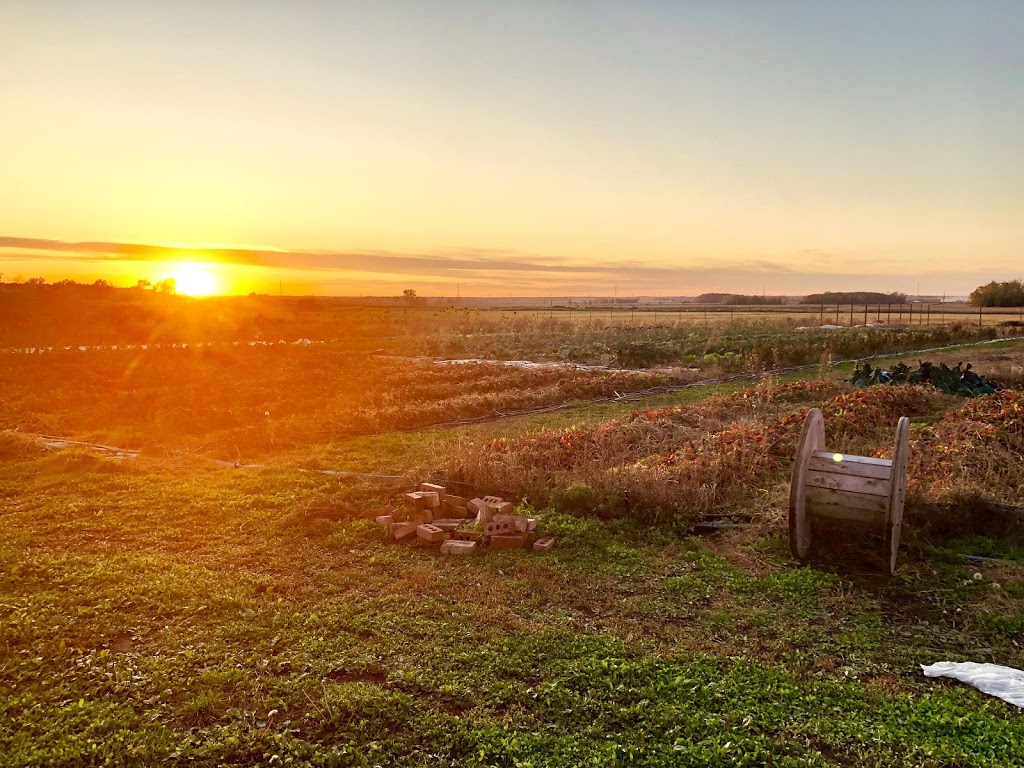 Les Hautes Herbes - Coop maraîchère | 681 Chemin Mazuret, Repentigny, QC J5Z 4C7, Canada | Phone: (438) 409-0399