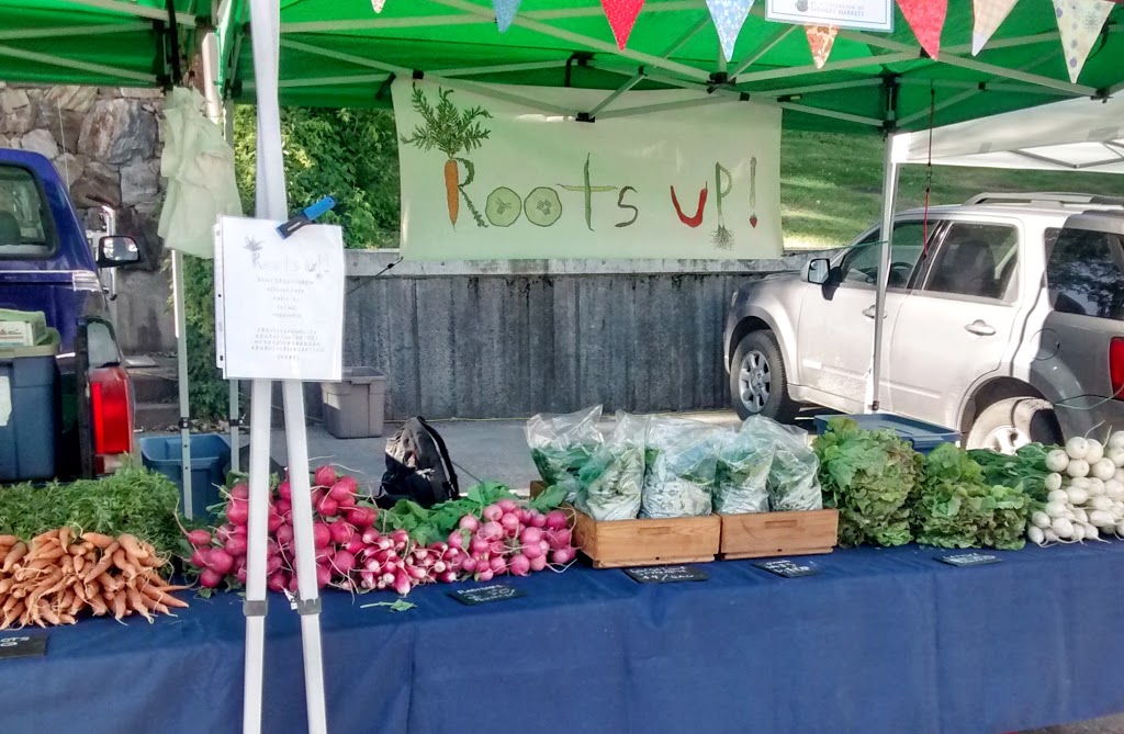 Roots Up! Vegetable Farm | 6133 VLA Rd, Chase, BC V0E 1M1, Canada | Phone: (778) 220-7578