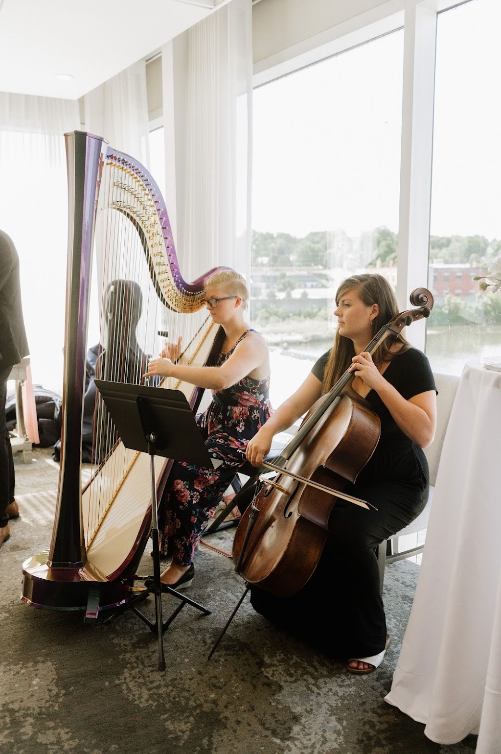 The Soenen Sisters Music - Harp Flute and Cello | 48 Kerr-Shaver Terrace, Brantford, ON N3T 6H8, Canada | Phone: (905) 818-4676