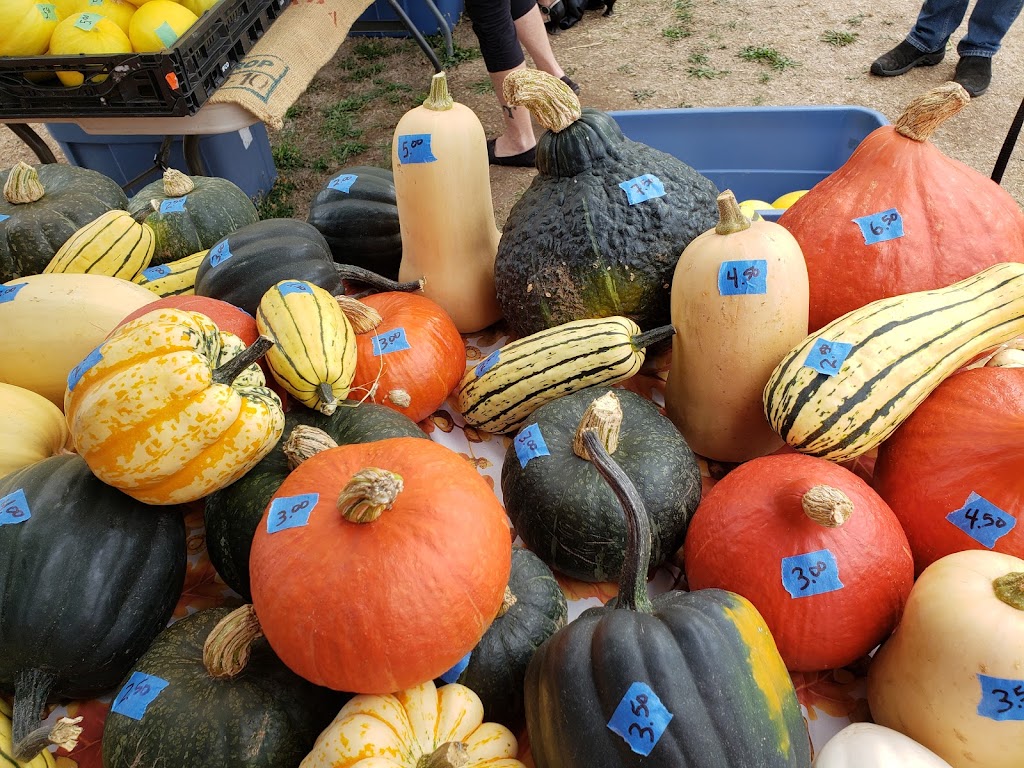 Cedar Farmers Market | 1984 Woobank Rd, Nanaimo, BC V9X 1H4, Canada | Phone: (250) 618-3565