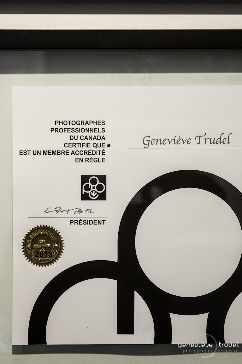 Geneviève Trudel photographe | 35 5e Avenue, Grand-Mère, QC G9T 2L8, Canada | Phone: (819) 691-6999