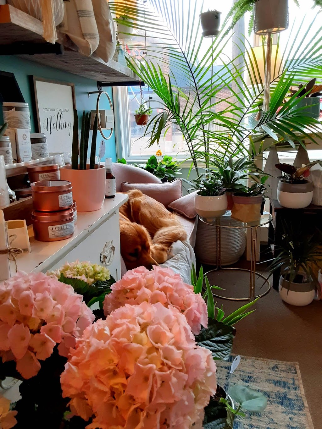 Bloom House Flowers | 67 Woodleigh Dr, Kensington, PE C0B 1M0, Canada | Phone: (902) 291-2171