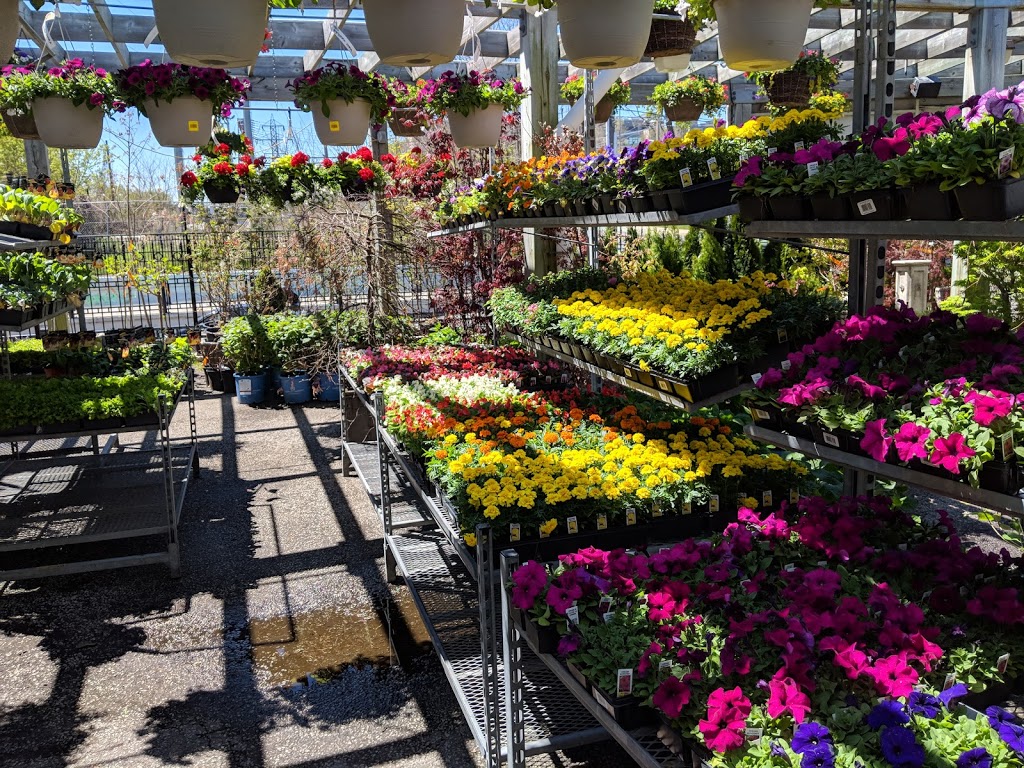 Summerhill Nursery & Floral | 1 Poplar Plains Rd, Toronto, ON M4V 1A7, Canada | Phone: (416) 922-6902