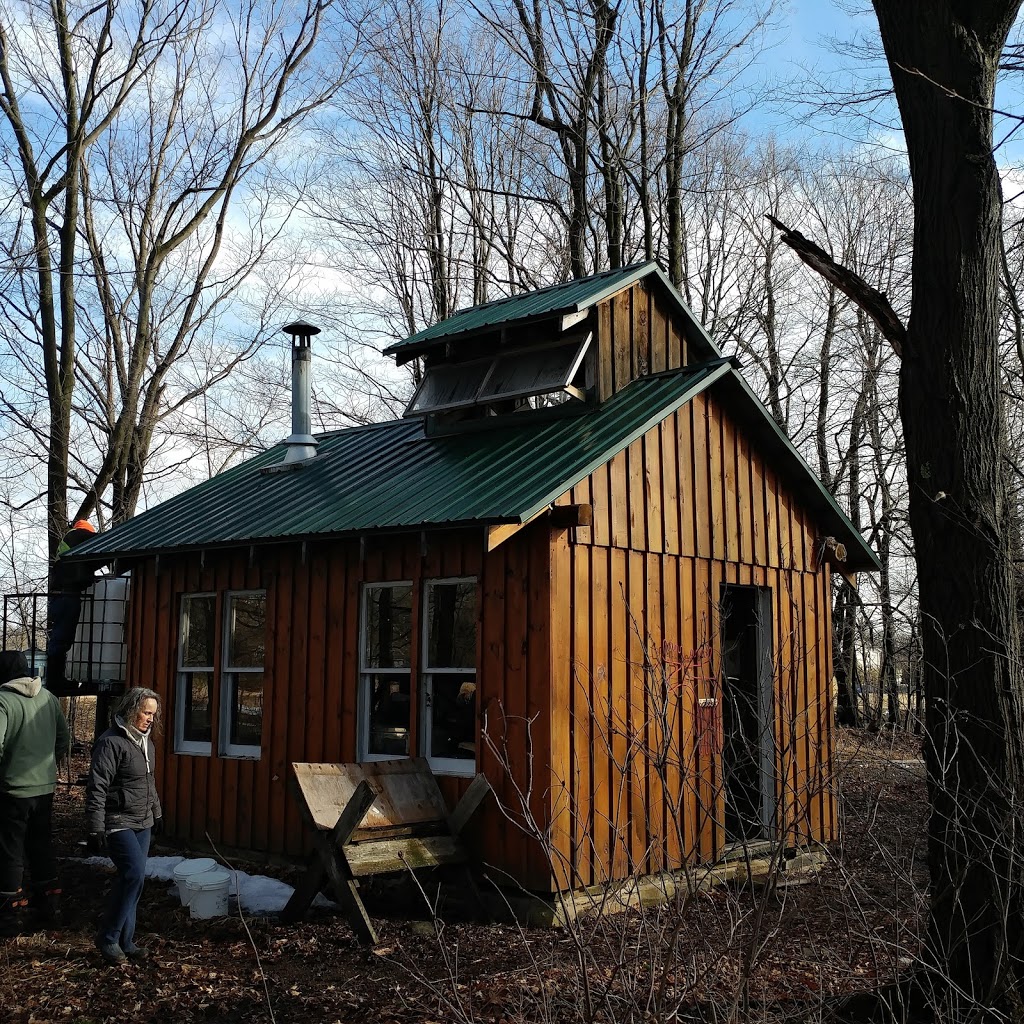 Edible Forest Farm | 3410 Greenfield Rd, South Frontenac, ON K0H, Canada