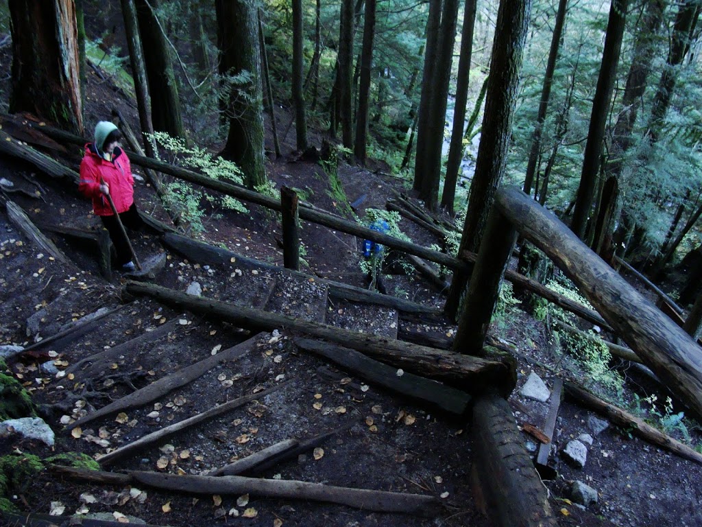 Upper Shannon Falls Trail | Squamish, BC V0N 1T0, Canada