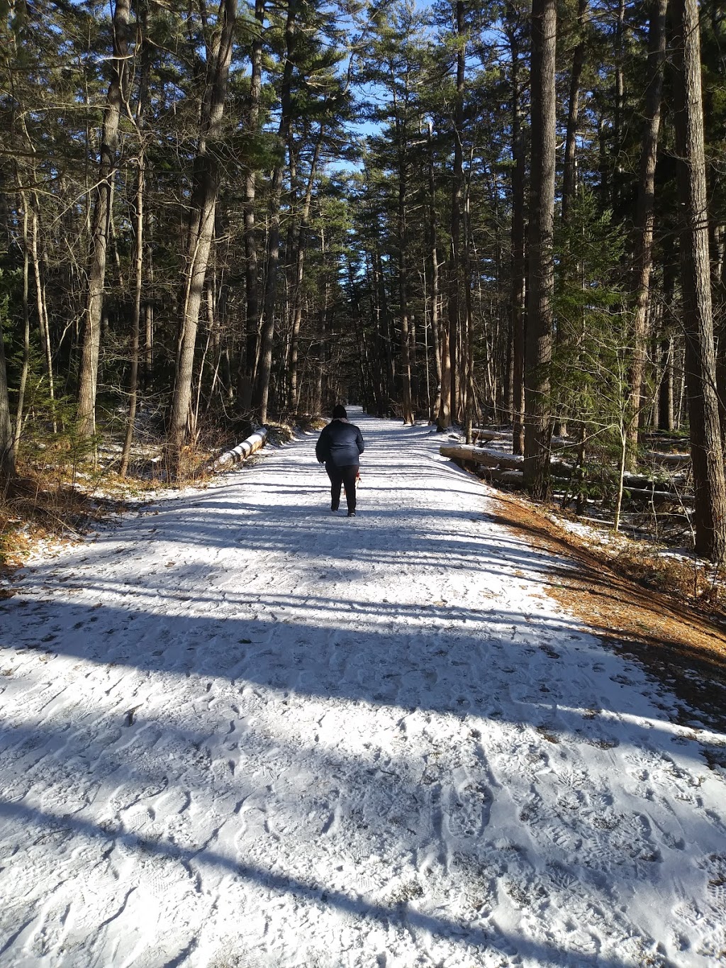 Miller Point Peace Park | 13905 Nova Scotia Trunk 3, Dayspring, NS B4V 5P6, Canada | Phone: (902) 541-1343