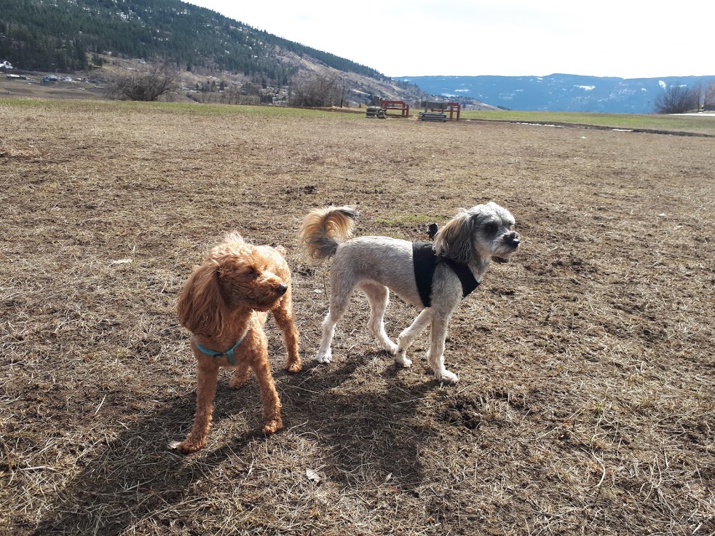 Mutrie Dog Park | 3985 Mutrie Rd, Vernon, BC V1T 9C8, Canada