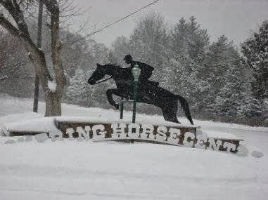 Pickering Horse Centre Ltd | 3800 Paddock Rd, Claremont, ON L1Y 1A2, Canada | Phone: (905) 626-9065