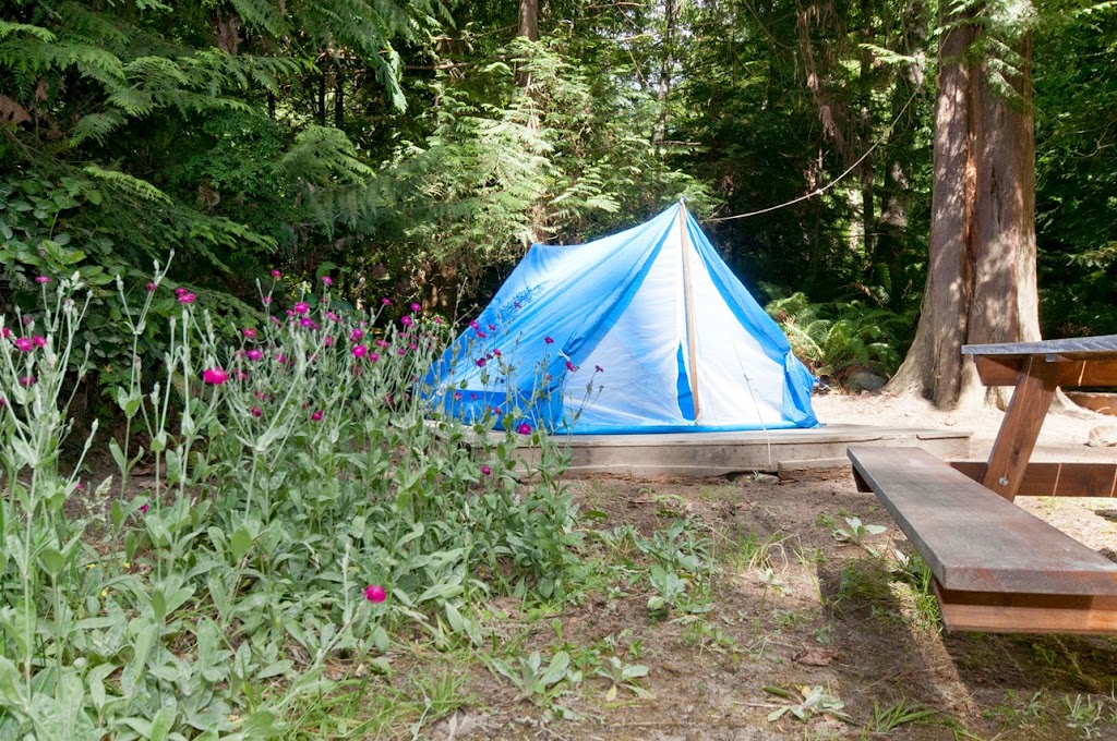 Savary Camping & Cottages | qathet Regional District, BC V0N 2G0, Canada | Phone: (604) 698-8745