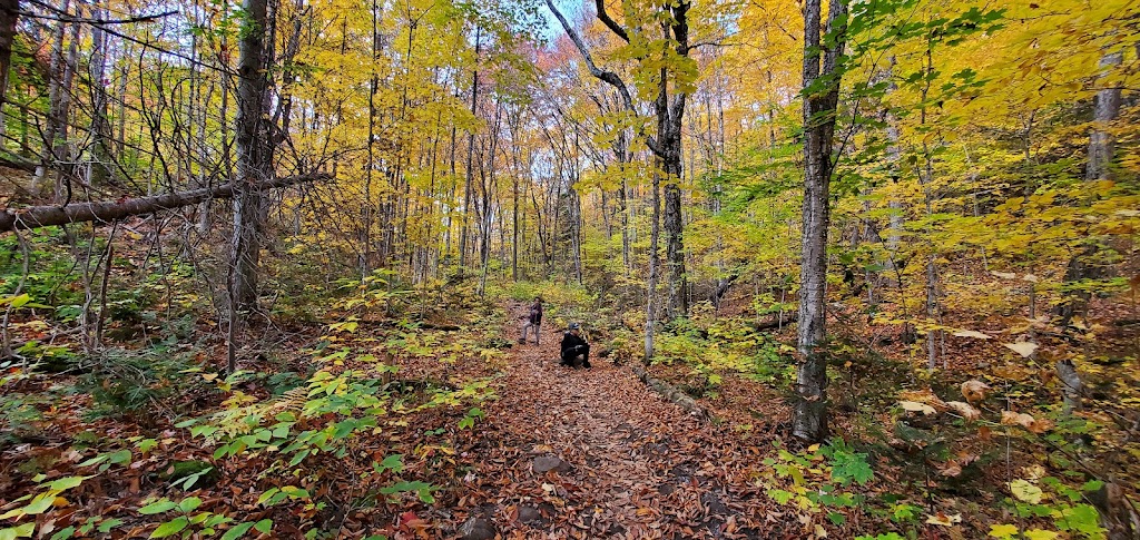 Centre De Plein Air Le Saisonnier | 78 Chem. du Brûlé, Lac-Beauport, QC G3B 0P8, Canada | Phone: (418) 849-2821