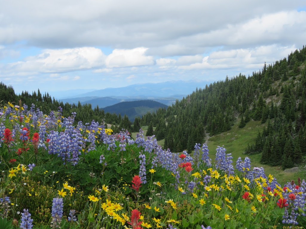 Bear Country Property Management | 3220 Village Way, Sun Peaks, BC V0E 5N0, Canada | Phone: (250) 578-6969