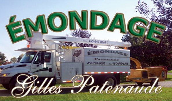 Emondage Gilles Patenaude inc | 156 8e Rang, Sainte-Brigide-dIberville, QC J0J 1X0, Canada | Phone: (450) 542-8246