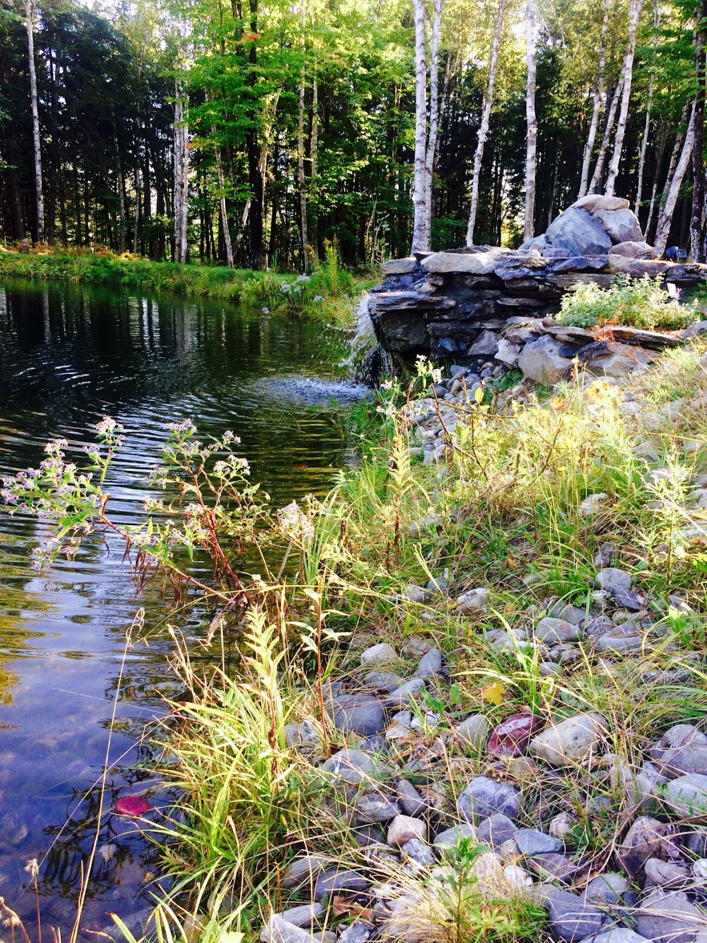 Au naturel de Cumberland | Saint-Georges, QC G5Y 5C2, Canada | Phone: (581) 722-0012