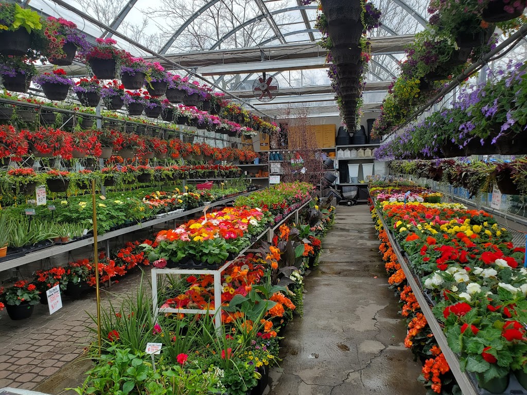 Greenwood Garden Centre | 6745 Kingston Rd, Scarborough, ON M1B 1G9, Canada | Phone: (416) 282-2666