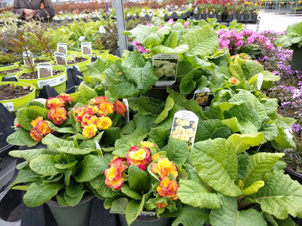 Vandermeer Nursery & Garden Centre | 588 Lake Ridge Rd S, Ajax, ON L1Z 1X3, Canada | Phone: (905) 427-2525