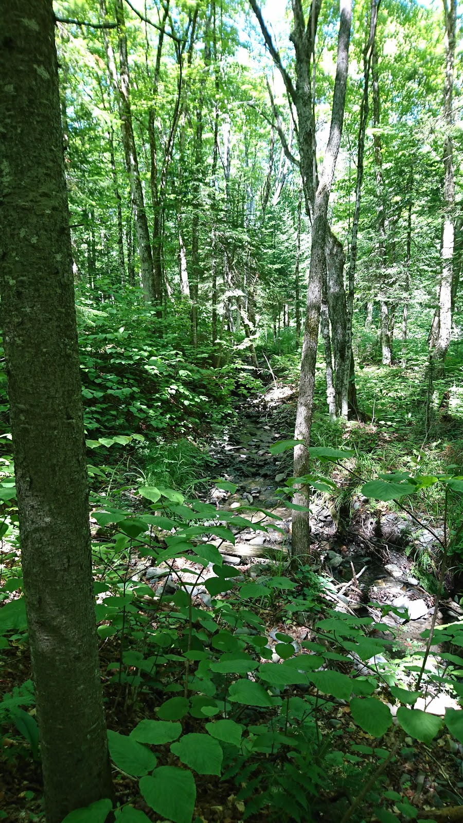 Hereford summit | Saint-Herménégilde, Quebec, QC J0B 2W0, Canada