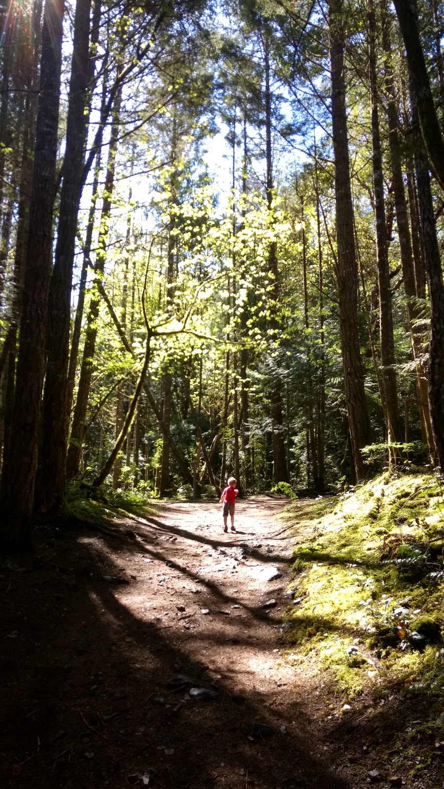 Mount Work Regional Park - Ross Durrance Road Parking Lot | Ross Durrance Rd, Victoria, BC V9E 1G8, Canada