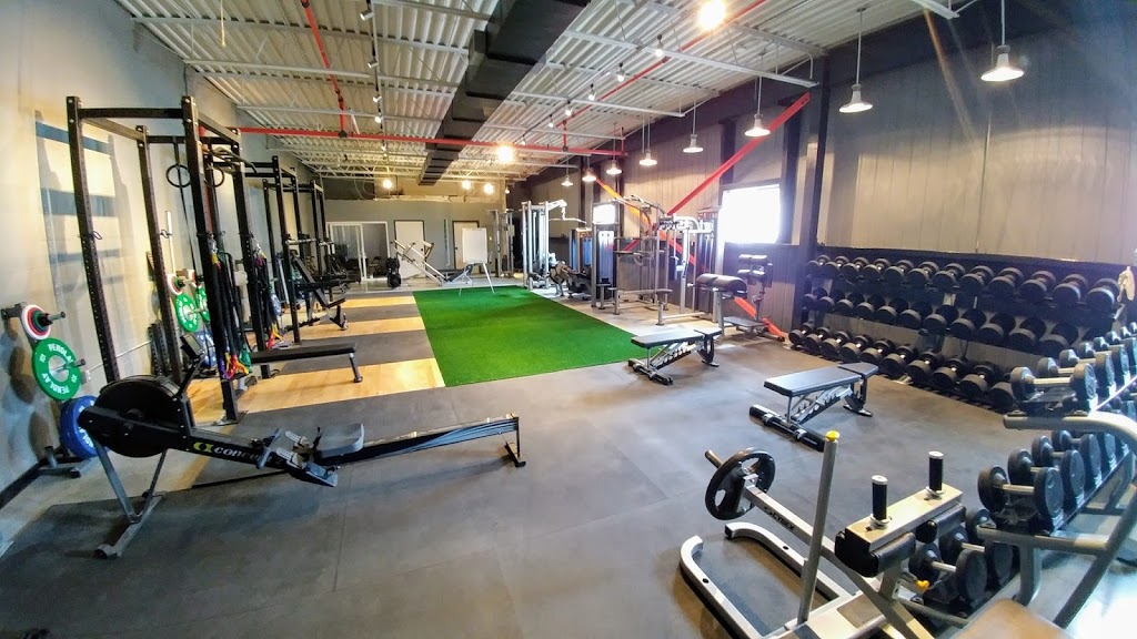 Gym 41 | 41 Ardelt Pl, Kitchener, ON N2C 2C8, Canada | Phone: (519) 574-0987