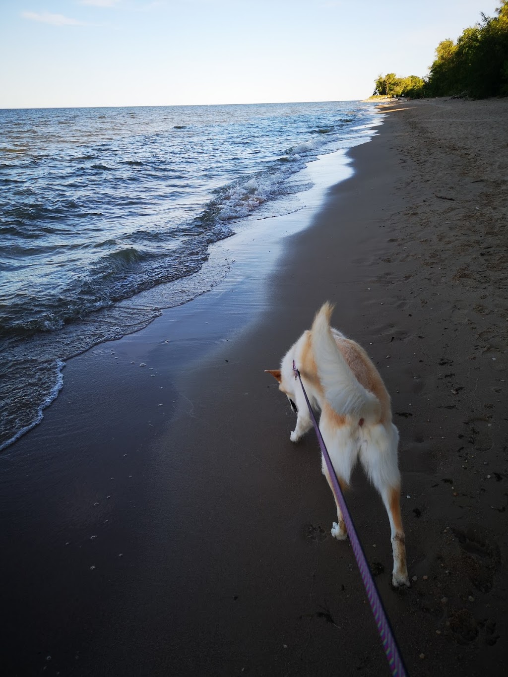 Winnipeg Beach Dog Beach | Winnipeg Beach, MB, Canada