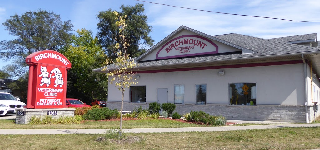 VCA Canada Birchmount Animal Hospital | 1563 Birchmount Rd, Scarborough, ON M1P 2H4, Canada | Phone: (416) 752-6048