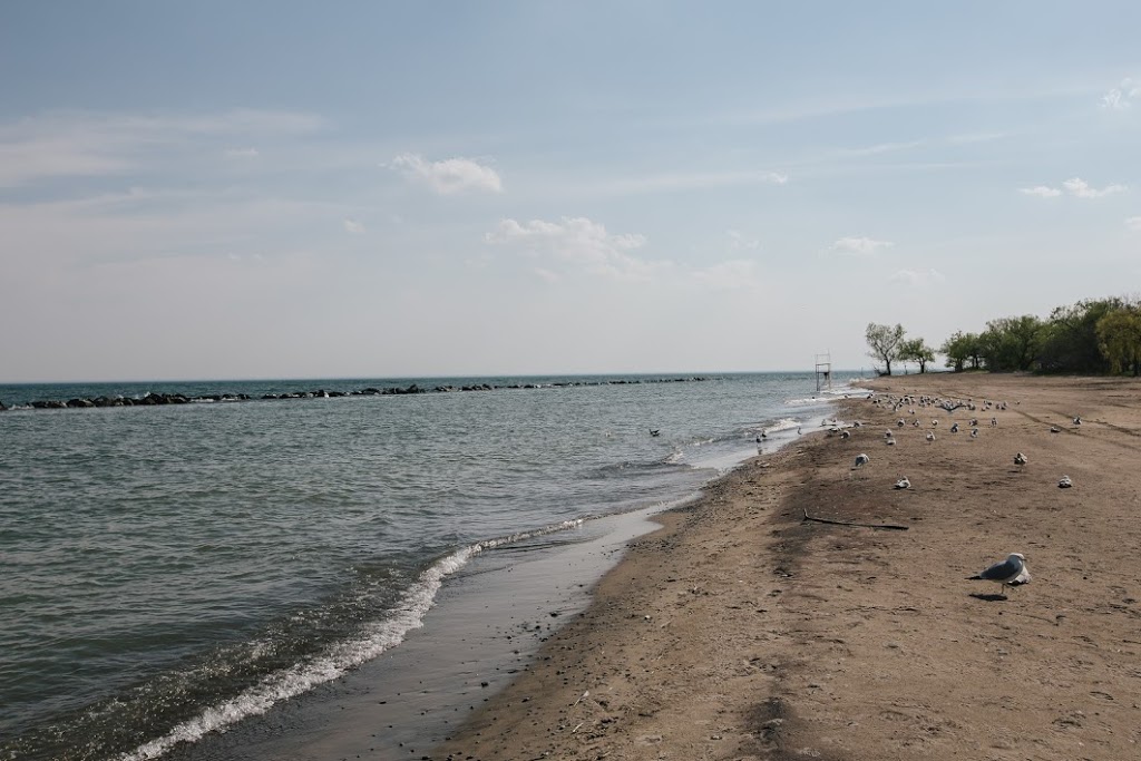 The Boat House | Centre Island Dock, Toronto, ON M5V 2H1, Canada | Phone: (416) 397-5166