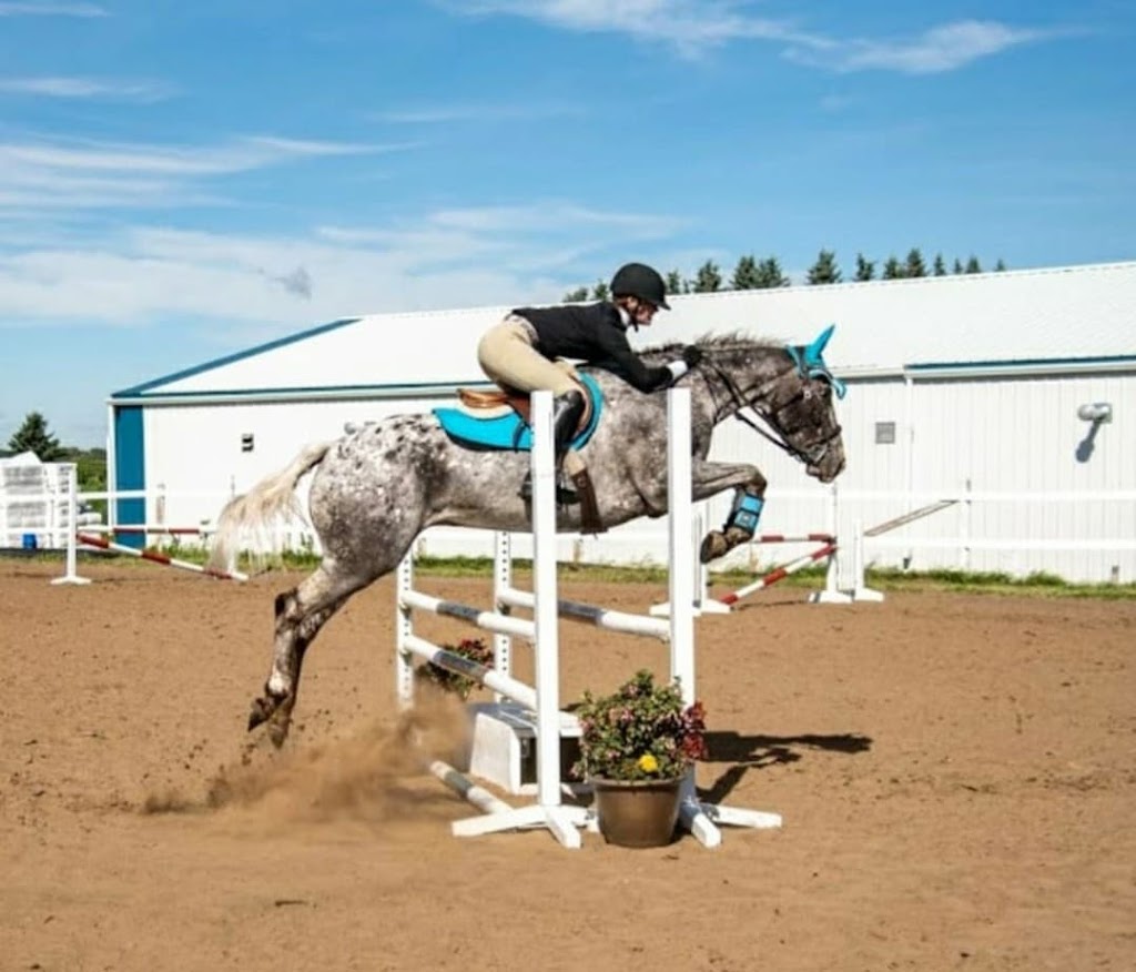 Legacy Performance Training | 3039 Township Rd 303, Carstairs, AB T0M 0N0, Canada | Phone: (403) 352-2542