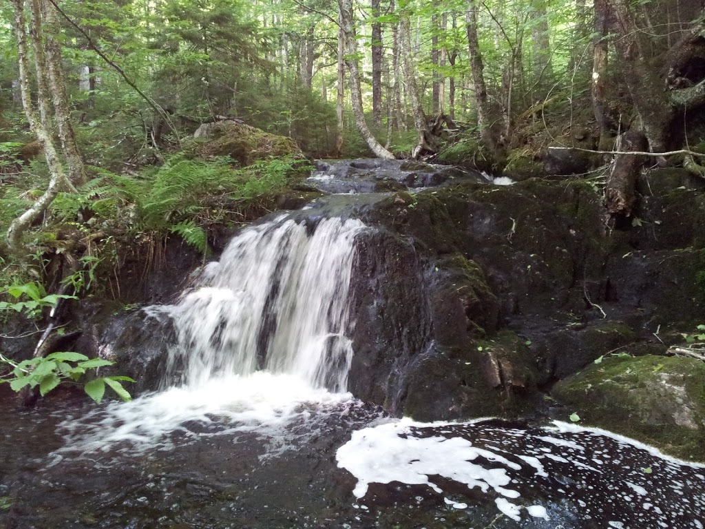 Gully Lake Wilderness Area | Kemptown Rd, Kemptown, NS, Canada | Phone: (800) 565-1633