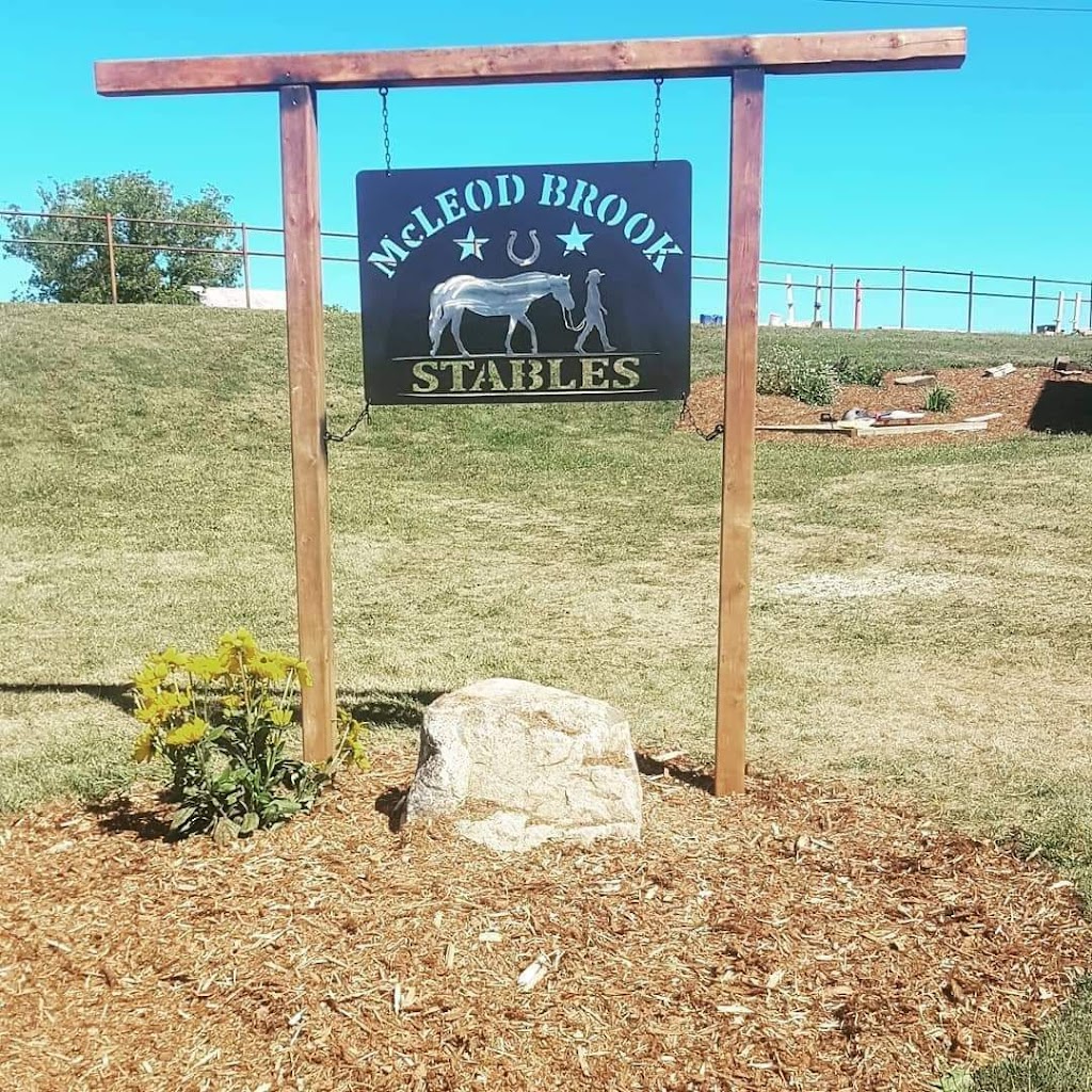 McLeod Brook Stables | 32 Penobsquis Rd, Penobsquis, NB E4G 2B7, Canada | Phone: (506) 567-4477