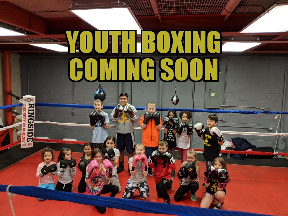 Regency Boxing | 711 Main St E, Milton, ON L9T 3Z3, Canada | Phone: (905) 749-6461