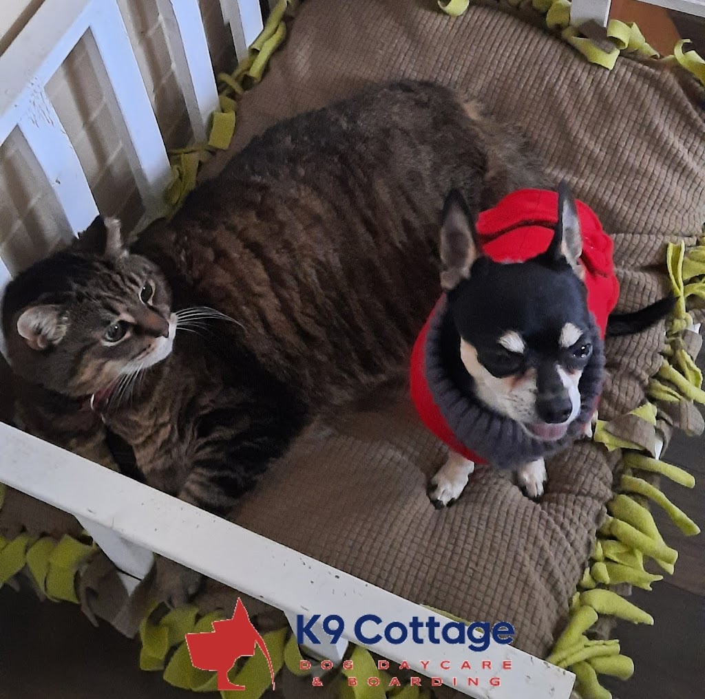 K9 Cottage | Parkwood Dr, Cambridge, ON N1S 3K8, Canada | Phone: (519) 223-5207