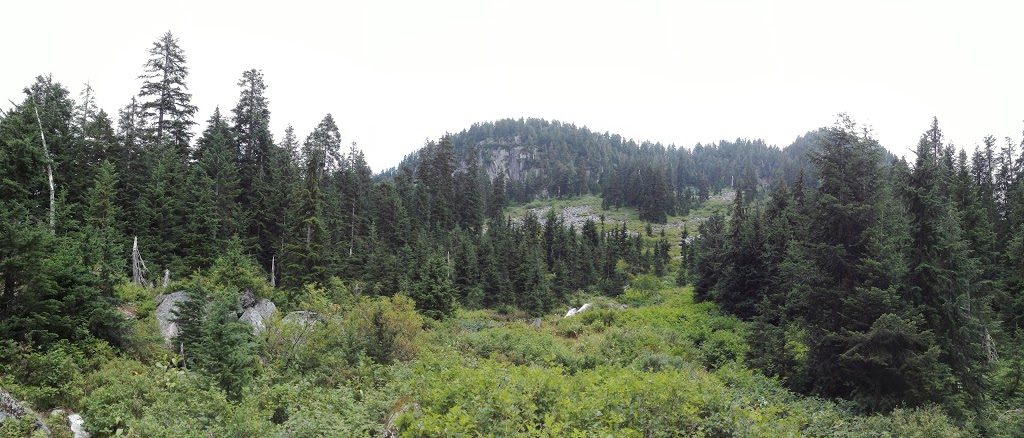 Coliseum Mountain Tarn | Greater Vancouver A, BC V7K 3B2, Canada