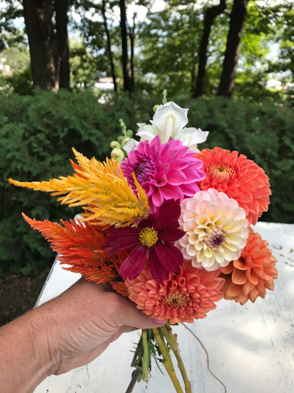 Dirt Road Flowers | 10 Palmer Dr, St Williams, ON N0E 1P0, Canada | Phone: (226) 549-7732