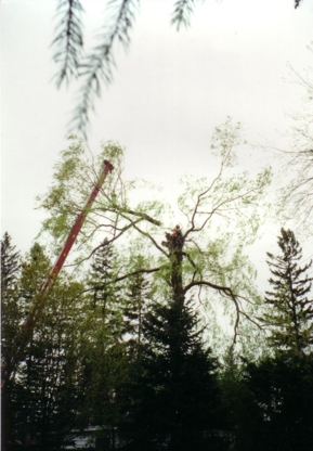 Four Seasons Expert Tree Maintenance & Removal Inc | Saddlewood Drive TWP 907515, Kitchener, ON N2P 2K2, Canada | Phone: (519) 632-7771