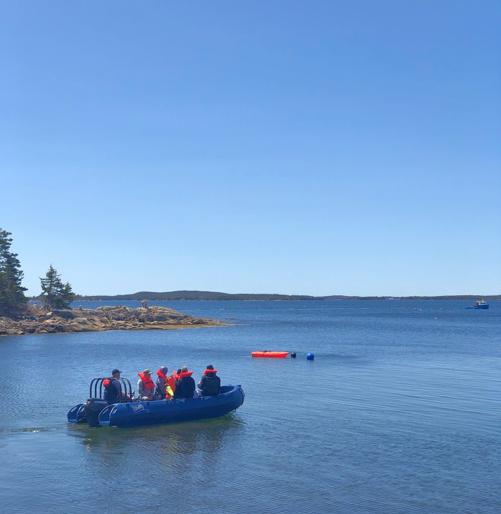 Norse Cove Boat Tours Nova Scotia | 18 Dewolfes Rd, Tangier, NS B0J 3H0, Canada | Phone: (902) 430-4559