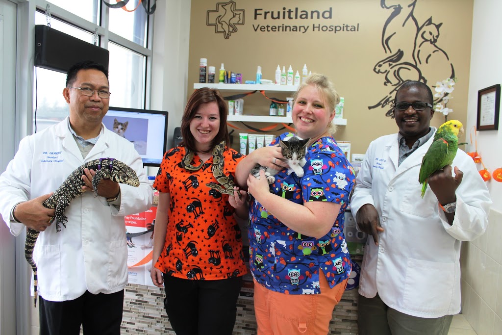 Fruitland Veterinary Hospital | 621 Barton St Unit 7, Stoney Creek, ON L8E 5R8, Canada | Phone: (905) 643-6800