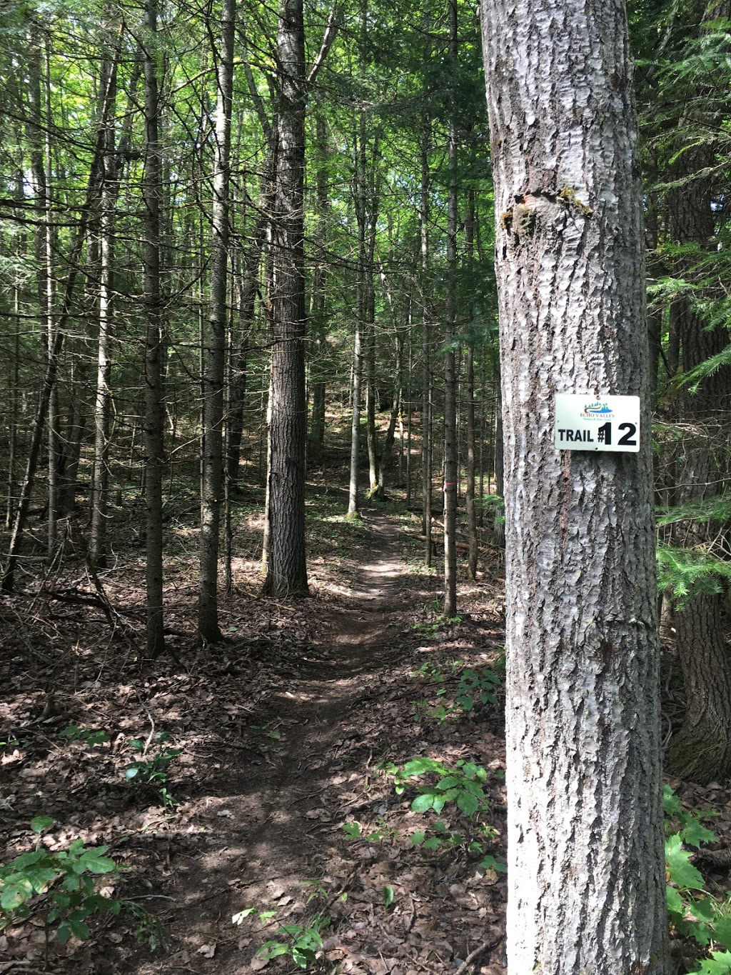 Echo Valley Nature & Bike Trails | Echo Hills Rd, Dwight, ON P0A 1H0, Canada | Phone: (877) 566-0005