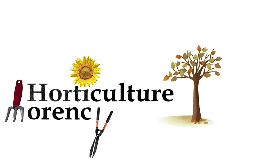 Horticulture Morency | 59 Rue Paul-Borduas, Québec, QC G2A 1N1, Canada | Phone: (418) 930-3459