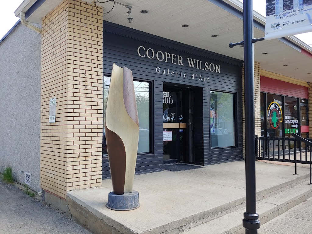 Galerie 806 - Galerie Cooper Wilson | 806 Rue de St Jovite, Mont-Tremblant, QC J8E 3J8, Canada | Phone: (819) 430-2999