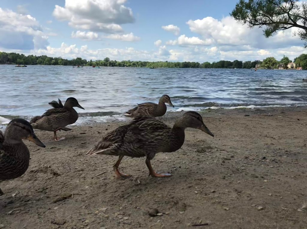 Richmond Hill Water Park | Richmond Hill, ON L4E, Canada